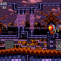 24248Tails5