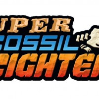 DS_SFFighter_0_logo_E3